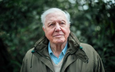 David Attenborough’s evidence for nature getting extinct and its solution